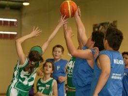 Palmela apoia prática do basquetebol
