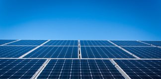 Efeitos na biodiversidade e solos estudados para Central Solar de Cercal do Alentejo