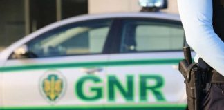 GNR fiscaliza apanha de bivalves e imigrantes ilegais em Alcochete