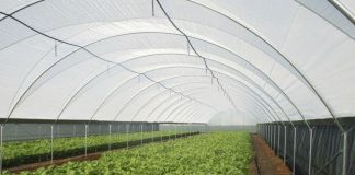 Petição quer salvar Parque Natural do Sudoeste Alentejano e Costa Vicentina