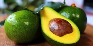 Alcácer vai ter um dos maiores pomares de abacate da Europa