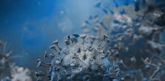 Idoso da Casa do Professor dado como infetado com teste negativo