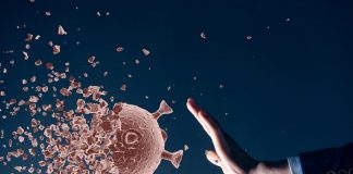 Portalegre disponibiliza linha de apoio social de emergência