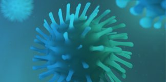 Números de infetados no distrito de Setúbal mantém-se inalterados