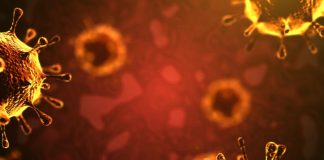 Alentejo regista 34 pessoas infetadas