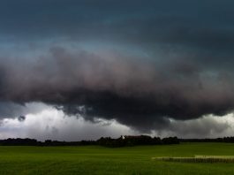 Serpa investe 319 mil euros em medidas de adaptação às alterações climáticas