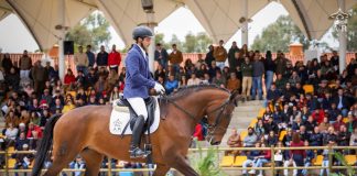 Alter International Horse Summit adiado para o fim do ano