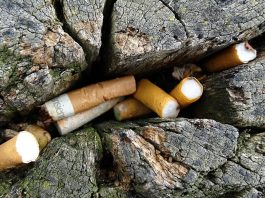 Câmara Municipal quer Portalegre sem beatas