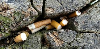 Câmara Municipal quer Portalegre sem beatas