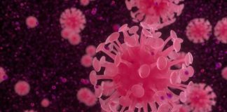 Número de infetados sobe de três para seis no concelho de Santiago do Cacém