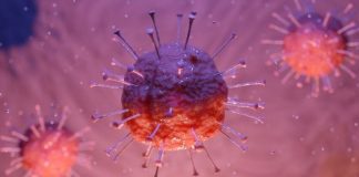 Sobe para 30 o número de pessoas infetadas no Alentejo