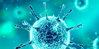 Alentejo não tem mortes mas conta já com 45 casos