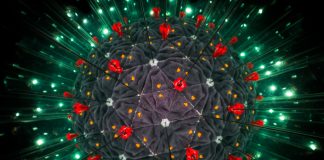 Setúbal regista agora 223 infetados