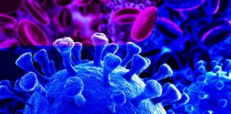 Número de infetados no distrito de Setúbal dispara para os 188