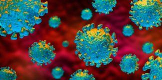 Covid-19: Pousadas do Alentejo e de Setúbal acolhem profissionais de saúde e forças de segurança