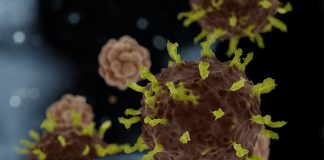 Alentejo regista 41 contagiados