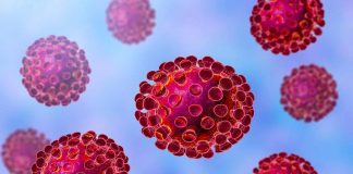 Covid-19: Elvas aplica medidas de prevenção contra a propagação da doença