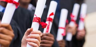 Beja vai dar bolsas a alunos carenciados do Ensino Superior