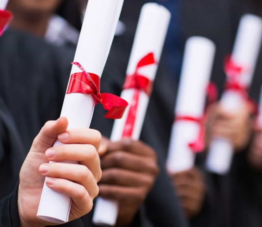 Beja vai dar bolsas a alunos carenciados do Ensino Superior