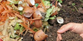 Évora inicia recolha seletiva de resíduos orgânicos para compostagem