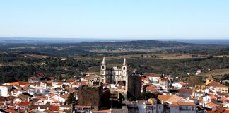 Portalegre é o distrito com maior taxa de insolvências