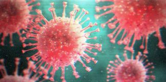 Covid-19: Barreiro tem apenas um caso confirmado e dois suspeitos aguardam repetição de teste