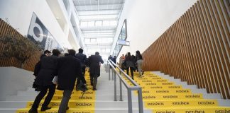 Alentejo recebe 41 galardões PME Excelência