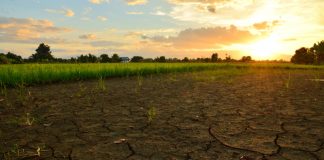 CAP debate a seca e sustentabilidade em Montemor-o-Novo