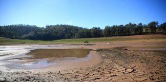 CAP diz que seca é intensa no Alto Alentejo e no Sado e exige medidas do Governo