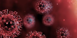 Aicep – Global Parque faz donativo à Misericórdia de Sines