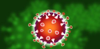 Alentejo regista seis infetados com o vírus