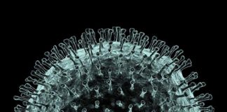 Número de casos no Alentejo duplicou