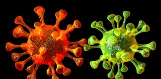 Números no distrito de Setúbal ainda sobem, mas com moderação