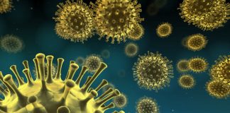 Distrito de Setúbal regista mais 23 infeções e Seixal e Almada continuam a ser os mais atingidos