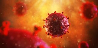 Almada e Seixal continuam a ser os mais afetados num distrito onde há 558 doentes