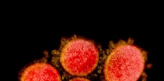 São já 341 os infetados no distrito de Setúbal