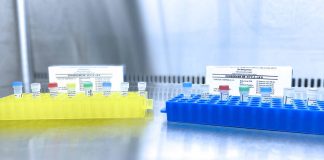 Centro de testes para Sesimbra, Palmela e Setúbal já está operacional