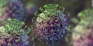 Moura é o concelho mais afetado pela pandemia que já infetou 183 pessoas no Alentejo