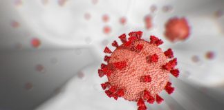 Pandemia dá sinais tímidos de retrocesso no distrito de Setúbal