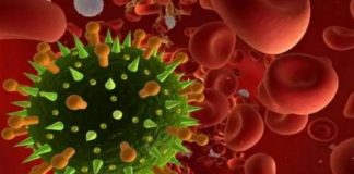 Doentes no Alentejo são agora 155, mais 15 que ontem