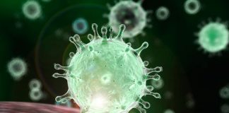 Número de infetados no distrito de Setúbal decresceu para 616