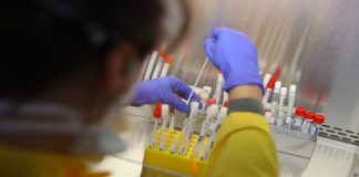 Mértola prepara espaços para separação de doentes