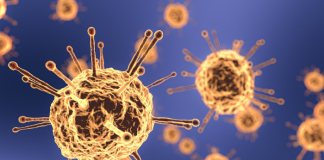 São já 544 as pessoas testadas positivas no distrito de Setúbal