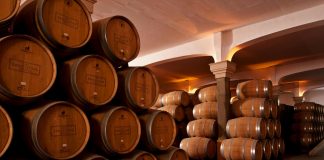 Setor vinícola pode ter quebras superiores a 50%