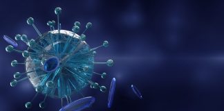 Pandemia parece estar a abrandar no Alentejo onde há 185 infetados