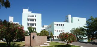 Hospitais públicos e privados de Setúbal unidos no combate à pandemia