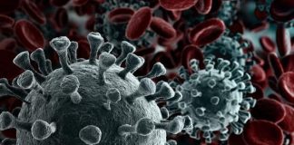 Número de infetados continua a subir no distrito de Setúbal, onde há hoje 976 doentes