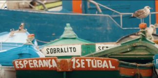 Vídeo institucional da Câmara de Setúbal