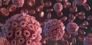 Setúbal regista mais 13 pessoas infetadas esta sexta-feira