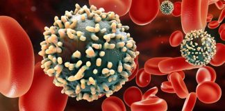 Número de doentes infetados no Alentejo mantém-se nos 158